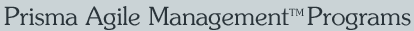 Agile Management Programs