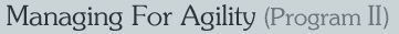 Program 2:  Managing for Agility